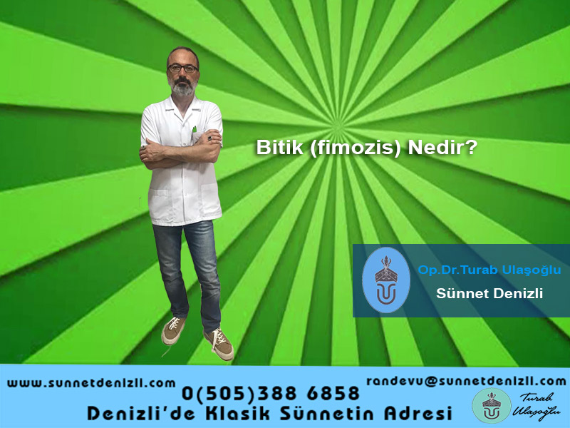 Bitik nedir?